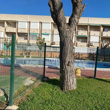 Apartamento Mil Palmeras Pilar de la Horadada Exteriör bild