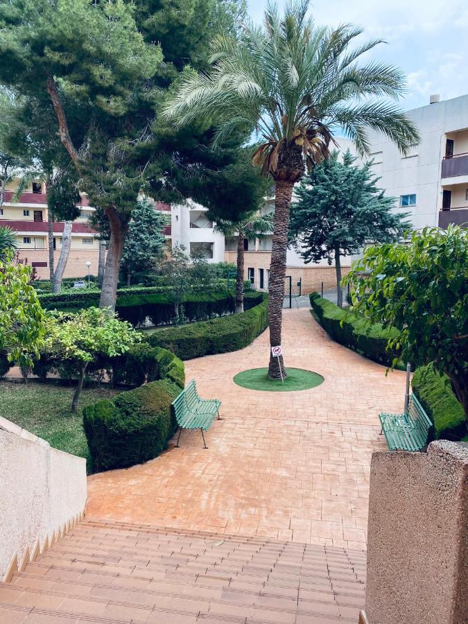 Apartamento Mil Palmeras Pilar de la Horadada Exteriör bild